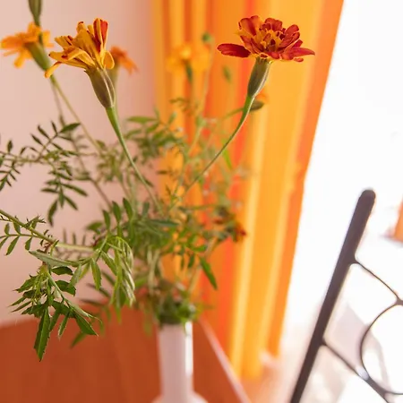 住宿加早餐酒店 圣安娜住宿加早餐旅馆 阿杰罗拉