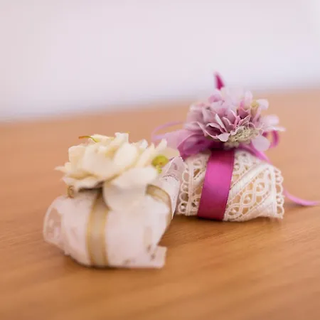 圣安娜住宿加早餐旅馆 住宿加早餐酒店 阿杰罗拉