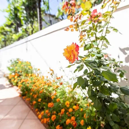 住宿加早餐酒店 圣安娜住宿加早餐旅馆