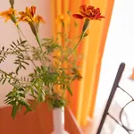 Bed & Breakfast Sant'anna Agerola