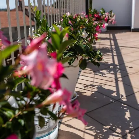 Bed & Breakfast Sant'anna Agerola